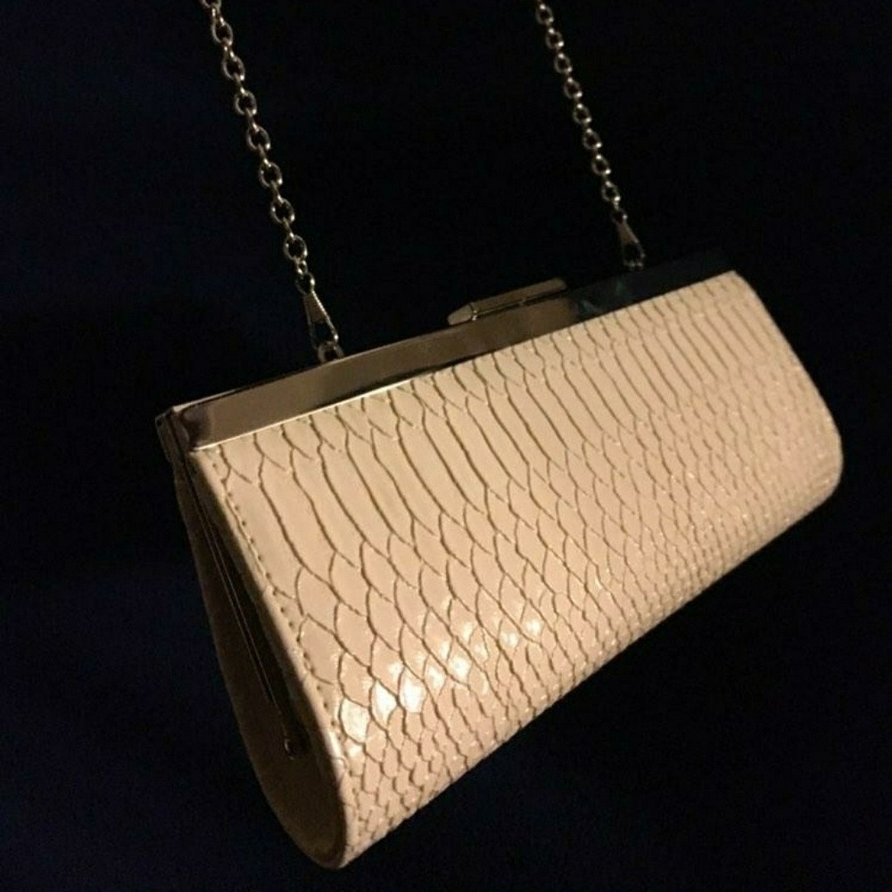 Aldo Clutch
